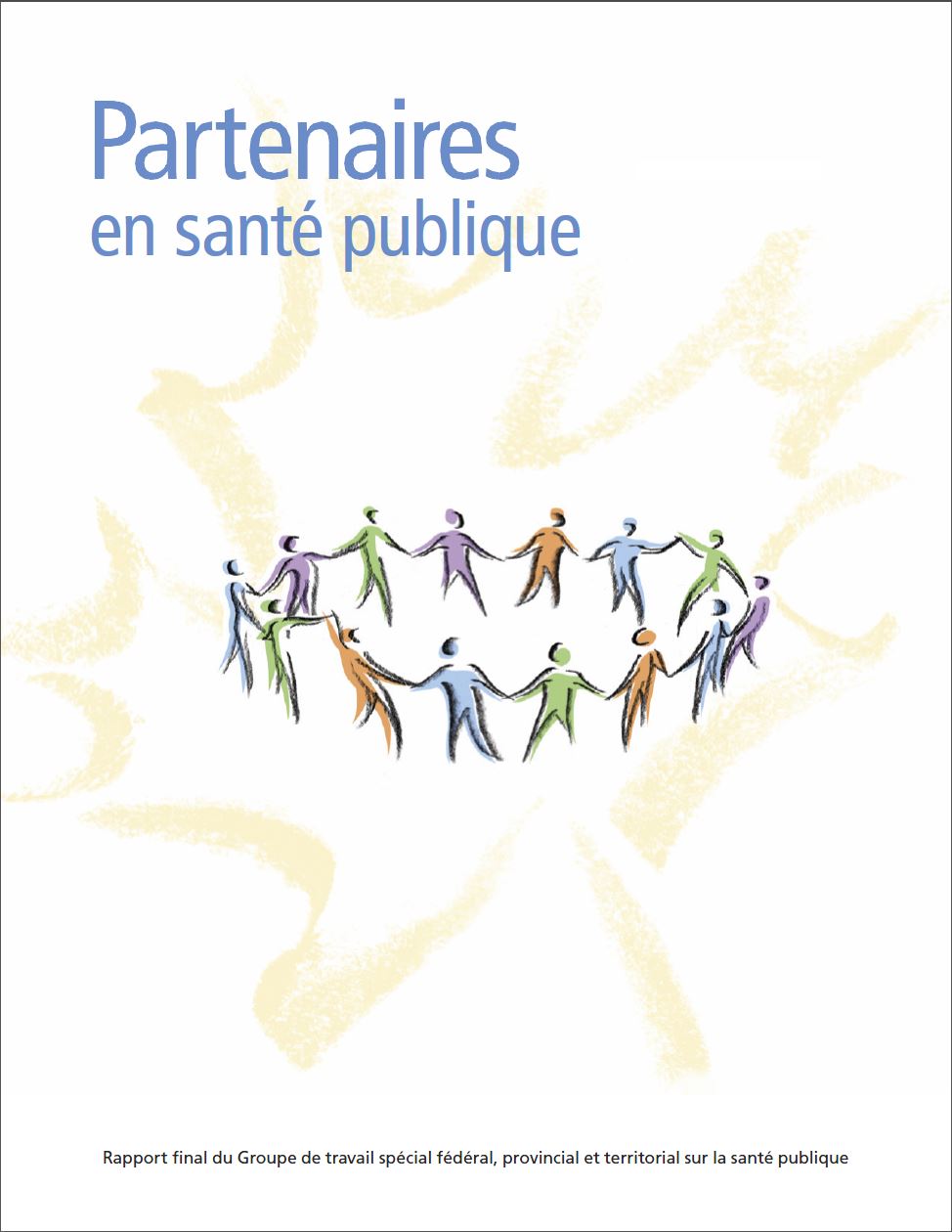 Image of a Partners in Health Summary Report cover page in French