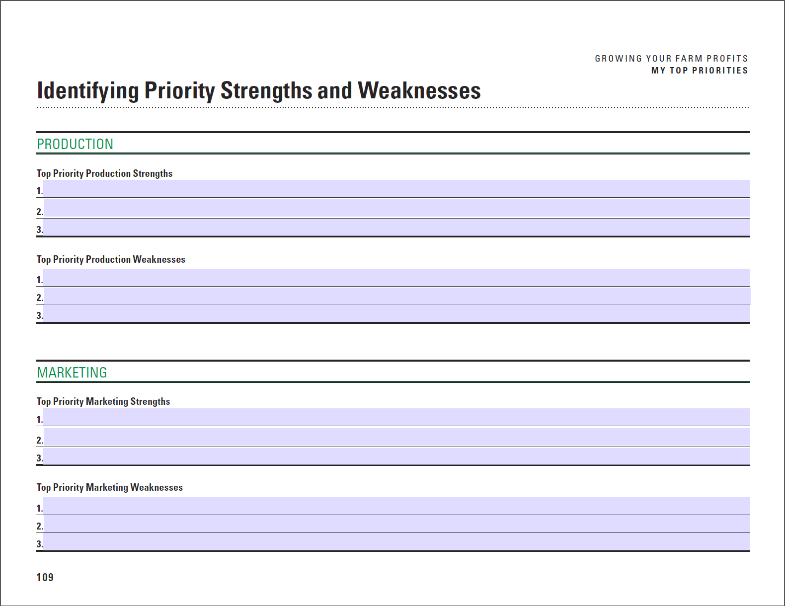 Screen capture of a fillable pdf page from My top priorities pdf.