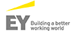 Ernst and Young (EY)