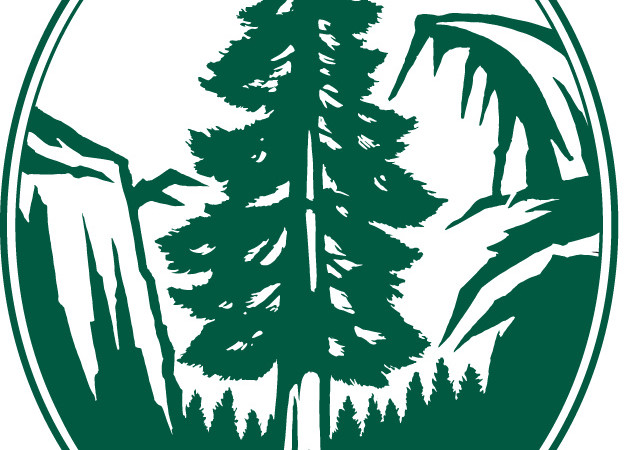 Image of green tree that is part of the Sierra Club logo
